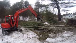 Morbark Wood Chipper 2400XL Eating Trees [upl. by Ahsatniuq]