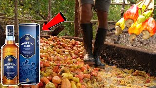 देखिए WINE कैसे बनती है  Traditional Wine Making Process  Cashew Liquor India [upl. by Neeuq311]