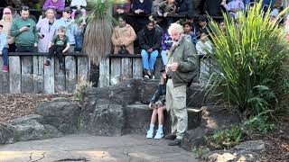 Reptile Show  Part 5  Australian Reptile Park [upl. by Ledniahs627]