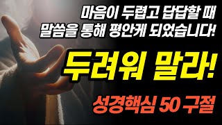 잠들며 듣는 24년 두려워하지 말라 핵심 50구절 모음편 feat 평안 [upl. by Devan]