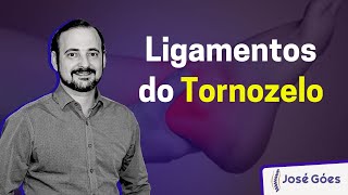 Ligamentos do Tornozelo  José Góes [upl. by Yerfoeg932]