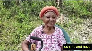 This herbalist has helped so many people including infertile womenthese bushes are very important [upl. by Airreis]