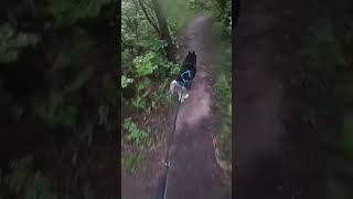 Wait for it… siberianhuskytiktok fyp dogsoftiktok fy mtb workingdogs petsdogsportscanines [upl. by Ngo]