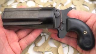 Leinad Cobray Pepperbox 5 Shot Derringer 410 45LC Overview  Texas Gun Blog [upl. by Radnaxela]