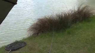 BROOK FARM FISHERY ROMFORD ESSEX ANGLERS MAIL TACTICAL BRIEFINGS [upl. by Einnov152]