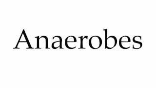 How to Pronounce Anaerobes [upl. by Enyamrahc194]