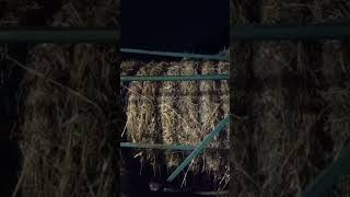 DARK FARM BALE WRAPping bale JohnDeere tractor tubeolator blackfriday [upl. by Newlin]