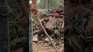 KOYLA MOVIE SHORT SHAHRUKH KHAN [upl. by Fachini]