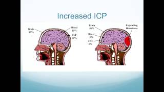 Altered Neurologic Function [upl. by Hilarius]