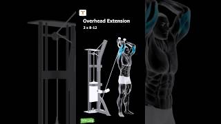 Triceps Biceps amp Forearms workout 🏋💪  shorts tricepsbicepsforearmsworkout gym trending 🔥🔥 [upl. by Orvie]