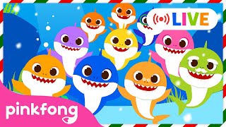 🔴 LIVE 🏆TOP Baby Shark Dance Songs  Winter Baby Shark  Doo Doo Doo  Pinkfong Live [upl. by Shulock]