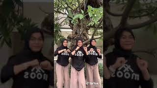 tik tok kk ddd kembar 3 part 77 ditadinadini tiktoklite shorts [upl. by Georgine656]