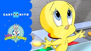 Baby Looney Tunes  The TV Show  Cartoonito [upl. by Eirrotal]