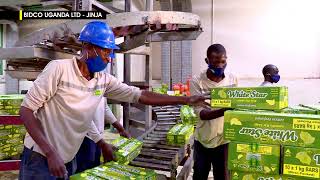 A sneak peek into Bidco Uganda Ltd [upl. by Idnor580]