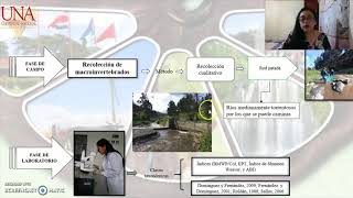 🧐👏Determinación de la calidad del agua por bioindicadores e índices biológicos del [upl. by Jaddan]