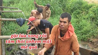 XE CÔNG NÔNG chở lúa lên dốc VÀ tới mùa gặt hái [upl. by Ardnosac966]