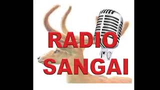 Sangai FM Live Stream [upl. by Legnaros]