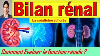 Interpréter un bilan rénal créatinine et urée Les Indicateurs Clés de la Santé de vos Reins [upl. by Gisele]