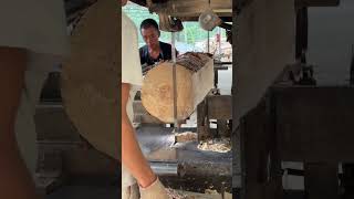 cuttingskills wood woodworking skills shorts woodcraft logcutting diywoodworking sawmill [upl. by Asehr]