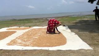 Preparations before the flood Netrokona [upl. by Hedberg]