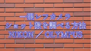 カメラのショット数を調べる方法・動画説明（ニコン・オリンパス）【CRMZEMI】 [upl. by Hakan713]