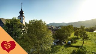 Brauneberg an der Mosel  Unterwegs im Ferienland BernkastelKues [upl. by Fenner]