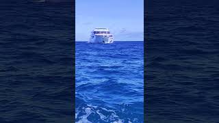 Yacht Maldives trending yacht blueseas coral [upl. by Ecinrev]