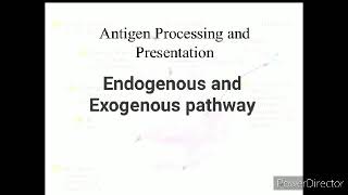 Antigen processing and presentation  Bg 6th semester Zoology Ladakh university Immunology [upl. by Holle]