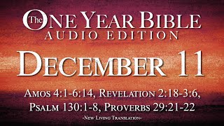 December 11  One Year Bible Audio Edition [upl. by Anerat339]