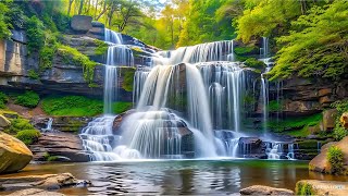 RELAXATION WATERFALLS amp NATURAL SOUNDS PALM YOUR EYES amp MIND  Sakera Loper [upl. by Anidam395]