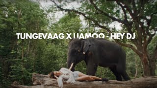 Tungevaag Liamoo  Hey DJ Official Music Video [upl. by Neelhtakyram484]