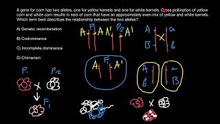 Chimerism  Incomplete dominance  Codominance  Recombination [upl. by Anev]