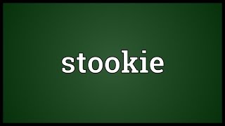 Stookie Meaning [upl. by Ahsiekel206]