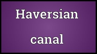 Haversian canal Meaning [upl. by Anestassia]