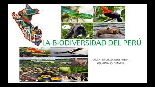 La Biodiversidad del Perú [upl. by Ynneh]