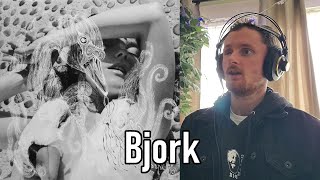 FIRST TIME Vespertine by Bjork Reaction [upl. by Aruol]