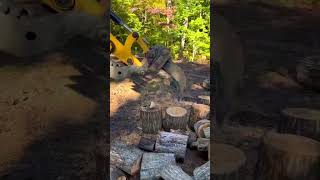 Wood Splitting Excavator Shorts Woodsplit Woodworking [upl. by Ennaeilsel]