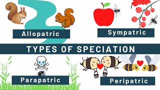 Speciation Allopatric Sympatric Peripatric Parapatric Types of speciation Examples [upl. by Arrad87]