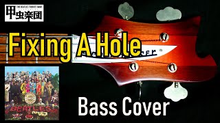 Fixing a Hole The Beatles  Bass Cover 50th Anniversary [upl. by Yrekaz]