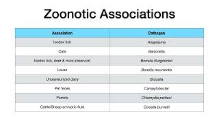 Microbiology Buzzwords amp Associations [upl. by Nojid]