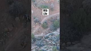 Richfield mountain biking trails Gorgeous and lots of fun mountainbike mtb [upl. by Vi]