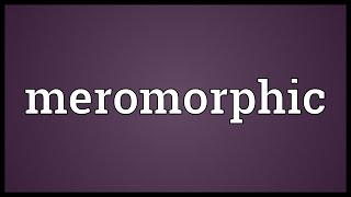 Meromorphic Meaning [upl. by Alaster]