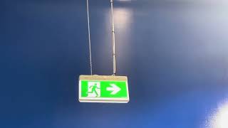 Stanilite Exit Sign with Arrow Pointing Right at Cheap as Chips Hollywood Plaza [upl. by Swaine371]