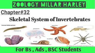 Exoskeleton  Endoskeleton  Skeletal system of invertebrates Millar Harley Chapter 32 Uo Zoology [upl. by Ttekcirc]