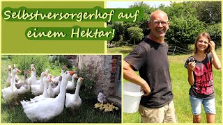 Selbstversorger Paradies Rundgang Enten Gänse Bienen Schafe amp Garten [upl. by Maxim]