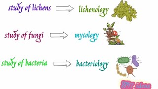 study ologies  study of lichensfungibacteriavirusprotozoaalgae T97ideas [upl. by Allenotna]