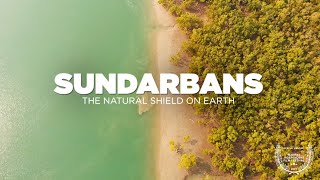 SUNDARBAN Tour  The Natural Shield on Earth  Sundarban National Park Delta  Sundarban Documentary [upl. by Shane]