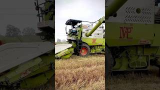 farming kishan farmer jaat shortsfeed shortsvideo shorts ytshorts [upl. by Northway]