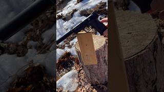 22LR Smith amp Wesson SUPPRESSED VS 2x4 Does It Penetrate [upl. by Beitch]