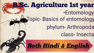 Basic Entomology  Phylum Arthropoda  Class Insecta  Explanation in both Hindi amp English [upl. by Anirad431]